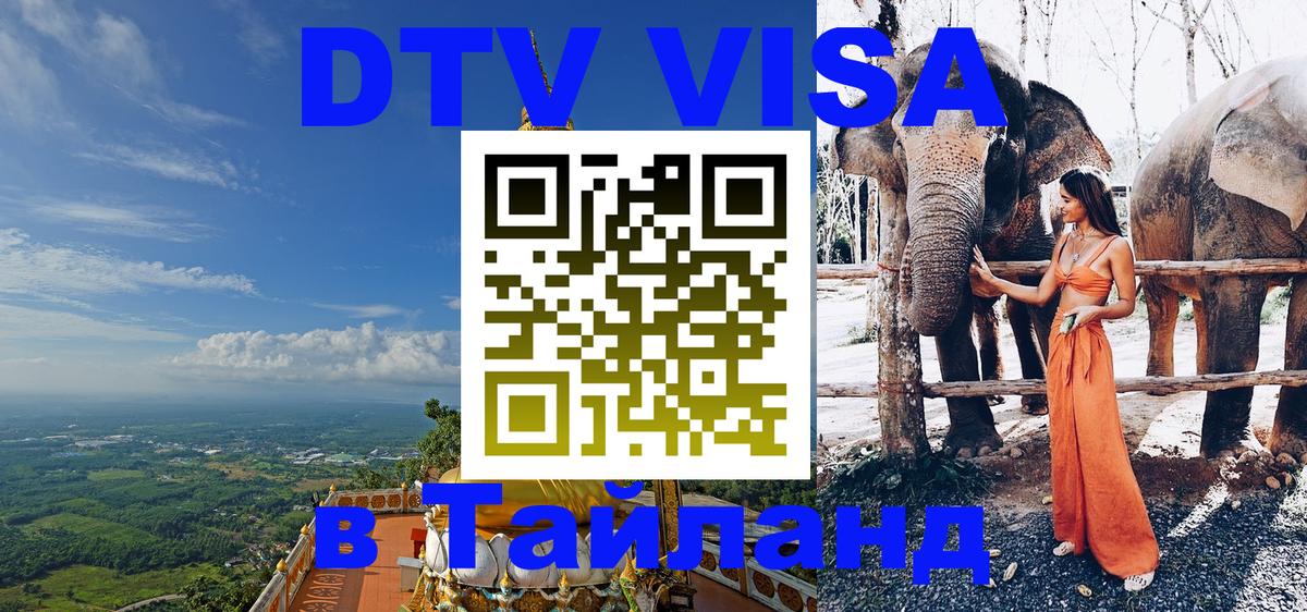 Сколько стоит DTV виза — актуальные цены, оформление даже без документов - Нижневартовск  08.01.2026 